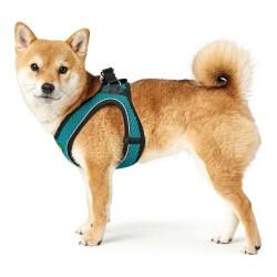 Arnés para Perro Hunter Hilo-Comfort Turquesa Talla XS (35-37 cm)