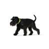 Collar para Perro Hunter Convenience 47-55 cm L Amarillo