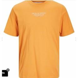 Camiseta de Manga Corta Hombre Jack & Jones JPRBLUARCHIE SS TEE 12217167 Naranja