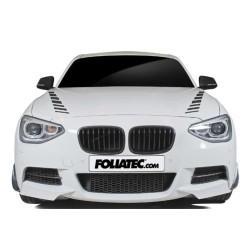 Adhesivo para Coche Foliatec FO33944 Plata