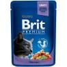 Comida para gato Brit Pouches Family Plate Pollo Pavo Ternera Bacalao 12 x 100 g