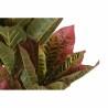 Planta Decorativa DKD Home Decor Marrón Polietileno Verde 50 x 50 x 140 cm