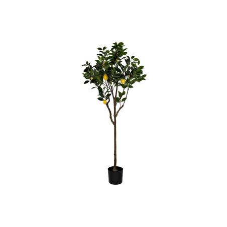 Árbol DKD Home Decor Limonero Poliéster (74 x 74 x 150 cm)