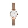 Reloj Mujer Skagen AMBERLINE (Ø 28 mm)