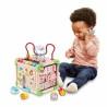 Centro de actividades Vtech Baby 80-617105 Marrón Multicolor