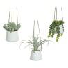 Planta Decorativa 800073 Suculenta 20 cm Para colgar Artificial