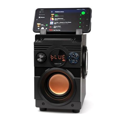 Altavoz Bluetooth Portátil SQUEAK SQ1001 Negro 20 W