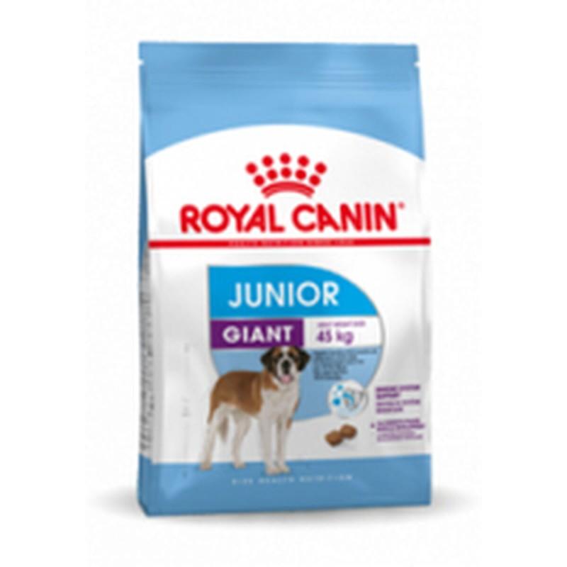 Pienso Royal Canin Giant Junior 15 kg Cachorro/Junior