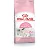 Comida para gato Royal Canin Mother & Babycat Adulto Aves 4 Kg