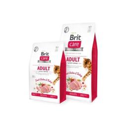 Comida para gato Brit                                 Adulto Pavo 7 kg