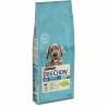 Pienso Purina Dog Chow Puppy Large Cachorro/Junior Pavo 14 Kg