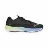 Zapatillas de Running para Adultos Puma Velocity Nitro 2 Fad Negro Hombre