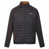 Chaqueta Deportiva para Hombre Regatta Clumber IV Hybrid Negro