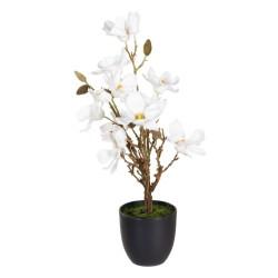 Planta Decorativa Poliéster Polietileno Hierro 30 x 30 x 60 cm Magnolia