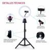 Aro de Luz para Selfie Canal Toys Studio creator video maker KIT 360º