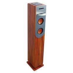 Altavoz Bluetooth Inovalley HP34-CD-WOOD 100W