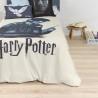 Funda Nórdica Harry Potter 200 x 200 cm Cama de 120