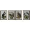 Cuadro DKD Home Decor Pájaros Oriental 45 x 3 x 60 cm (4 Unidades)