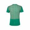 Camiseta de Manga Corta Hombre Asics fuzeX TEE