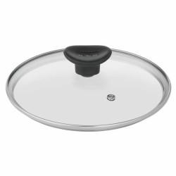 Cazo con Tapa SEB Plateado Acero Inoxidable Ø 20 cm 3 L