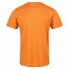 Camiseta de Manga Corta Hombre Regatta  Regatta Fingal Edition Naranja