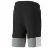 Pantalones Cortos Deportivos para Hombre Puma Essentials+ Negro