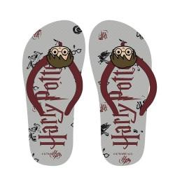 Chanclas para Niños Harry Potter Gris