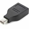 Adaptador Mini DisplayPort a DisplayPort Startech GCMDP2DPMF Negro