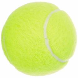 Pelotas de Tenis Dunlop 601316 Amarillo