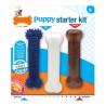 Mordedor de perro Nylabone Extreme Chew Starter Kit Cachorros Pollo Nylon Termoplástico (3 pcs)