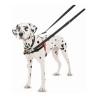 Arnés para Perro Company of Animals Halti Negro/Rojo Talla S (36-64 cm)