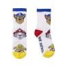 Calcetines The Paw Patrol 5 Piezas