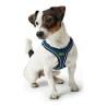 Arnés para Perro Hunter Hilo-Comfort M Azul (55-60 cm)