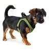 Arnés para Perro Hunter Hilo-Comfort Lima M (55-60 cm)