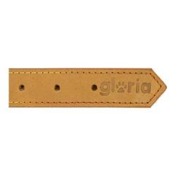 Collar para Perro Gloria Oasis Amarillo (65 x 3 cm)