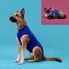 Camiseta de Recuperación para Mascotas KVP Azul 25-33 cm