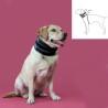 Collarín Cervical para Perros KVP Negro (13-48 cm)