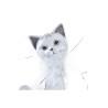 Figura Decorativa DKD Home Decor Blanco Gato Romántico 30 x 40 cm 9 x 9 x 24 cm