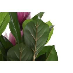 Planta Decorativa DKD Home Decor Rosa Verde PE (60 x 60 x 125 cm)