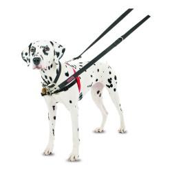 Arnés para Perro Company of Animals Halti Negro/Rojo Talla M (58-86 cm)