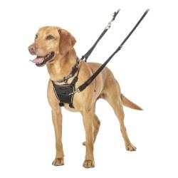 Arnés para Perro Company of Animals Halti Talla M (34-56 cm)