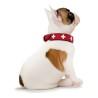 Collar para Perro Hunter Swiss Rojo/Negro (38-43.5 cm)