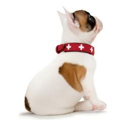 Collar para Perro Hunter Swiss Rojo/Negro (24-28.5 cm)