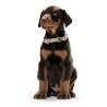 Collar para Perro Hunter Alu-Strong Negro Talla S (30-45 cm)