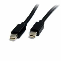 Cable Mini DisplayPort Startech MDISP2M              (2 m) 4K Ultra HD Negro