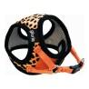 Arnés para Perro Gloria Leopardo M 27-35 cm Naranja