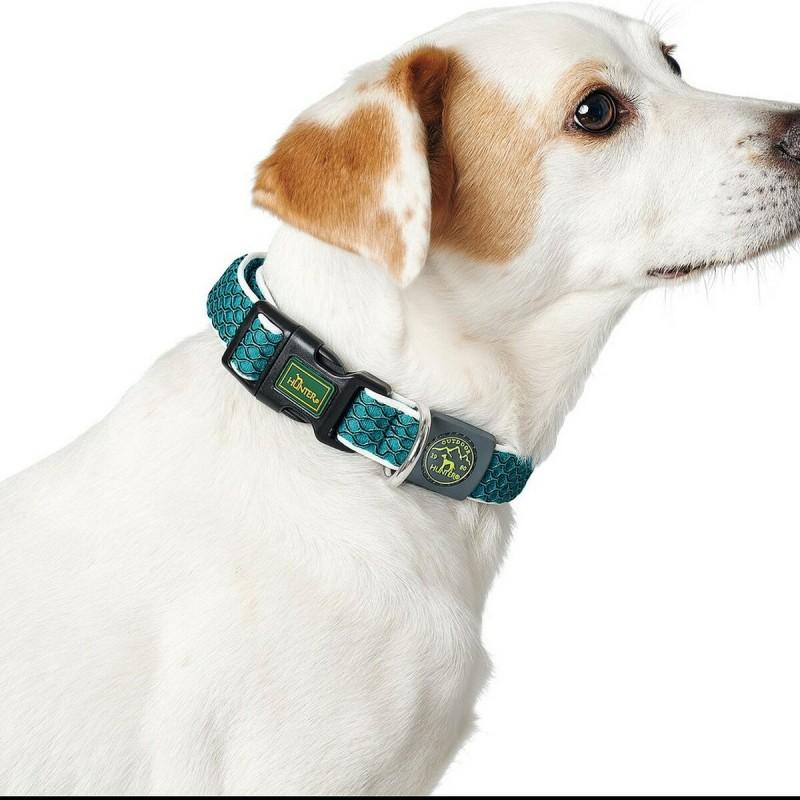 Collar para Perro Hunter Basic Hilo Azul Talla M Blue (33-50 cm)