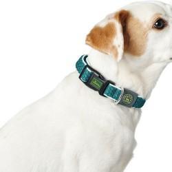 Collar para Perro Hunter Basic Hilo Antracita Talla S (30-43 cm)