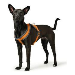 Arnés para Perro Hunter London Comfort Naranja S/M 52-62 cm