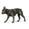 Arnés para Perro Hunter London Comfort 52-62 cm Marrón Talla S/M